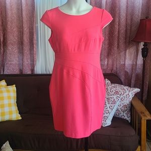 💥 Sandra Darren Dress